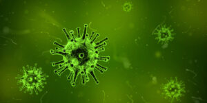 virus cells in green dye