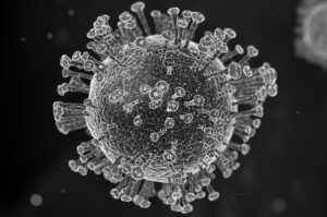 pic of the coronavirus