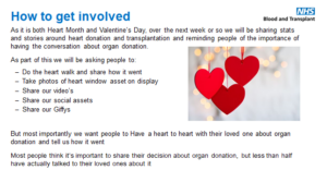 Valentine's Day Campaign 1