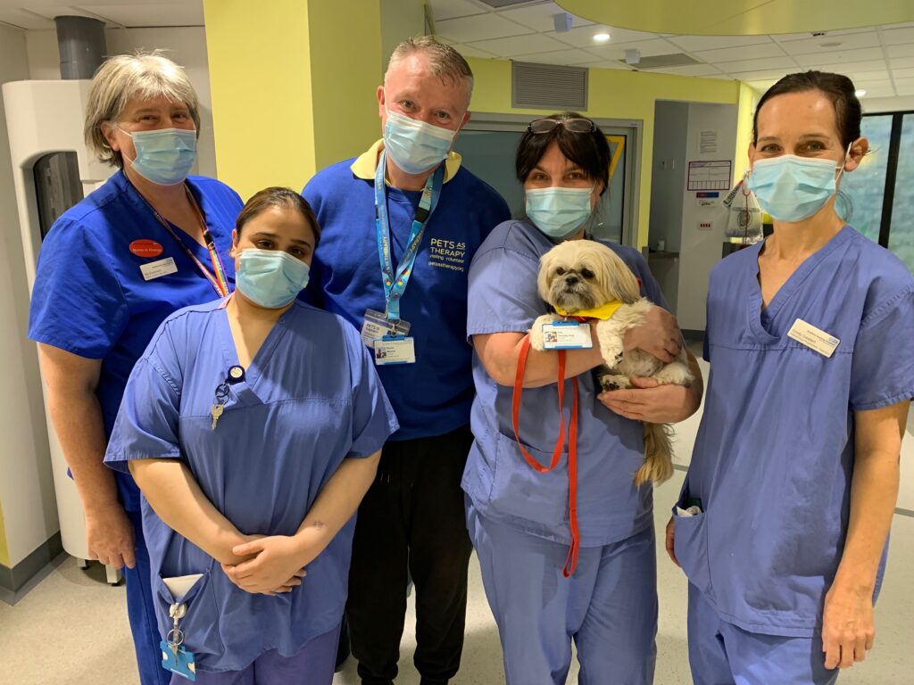 Four-legged friend bringing comfort to hospital patients