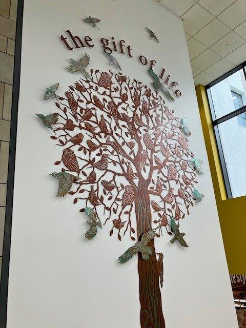 Tree of Life Artwork at Bradford Royal Infirmary wins international architecture and design award