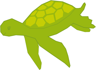 turtle