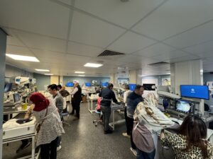 Trainee surgeons and SAS doctors in the laparoscopic simulation lab