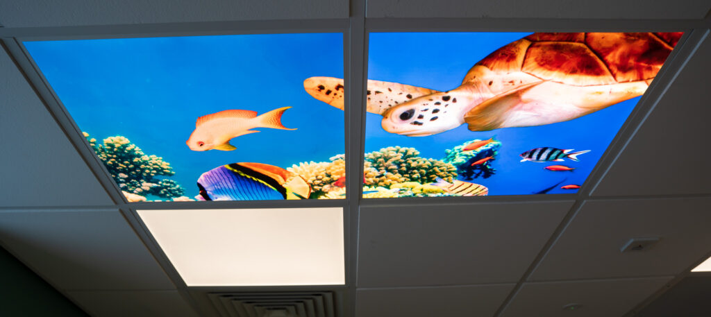 Renal ceiling tiles